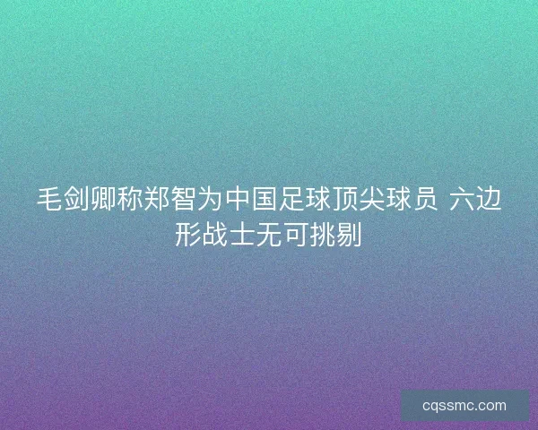 毛剑卿称郑智为中国足球顶尖球员 六边形战士无可挑剔