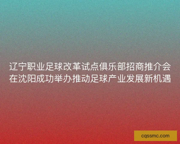 辽宁职业足球改革试点俱乐部招商推介会在沈阳成功举办推动足球产业发展新机遇